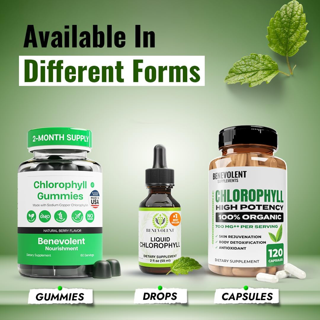 Chlorophyll Supplement, Detox & Immune Support, Internal Deodorizer - Liquid Drops, Natural Mint Flavor, 4 Month Supply, 59Ml