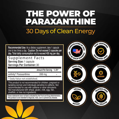 Paraxanthine Capsules for Clean Energy Focus | Caffeine Alternative 200Mg