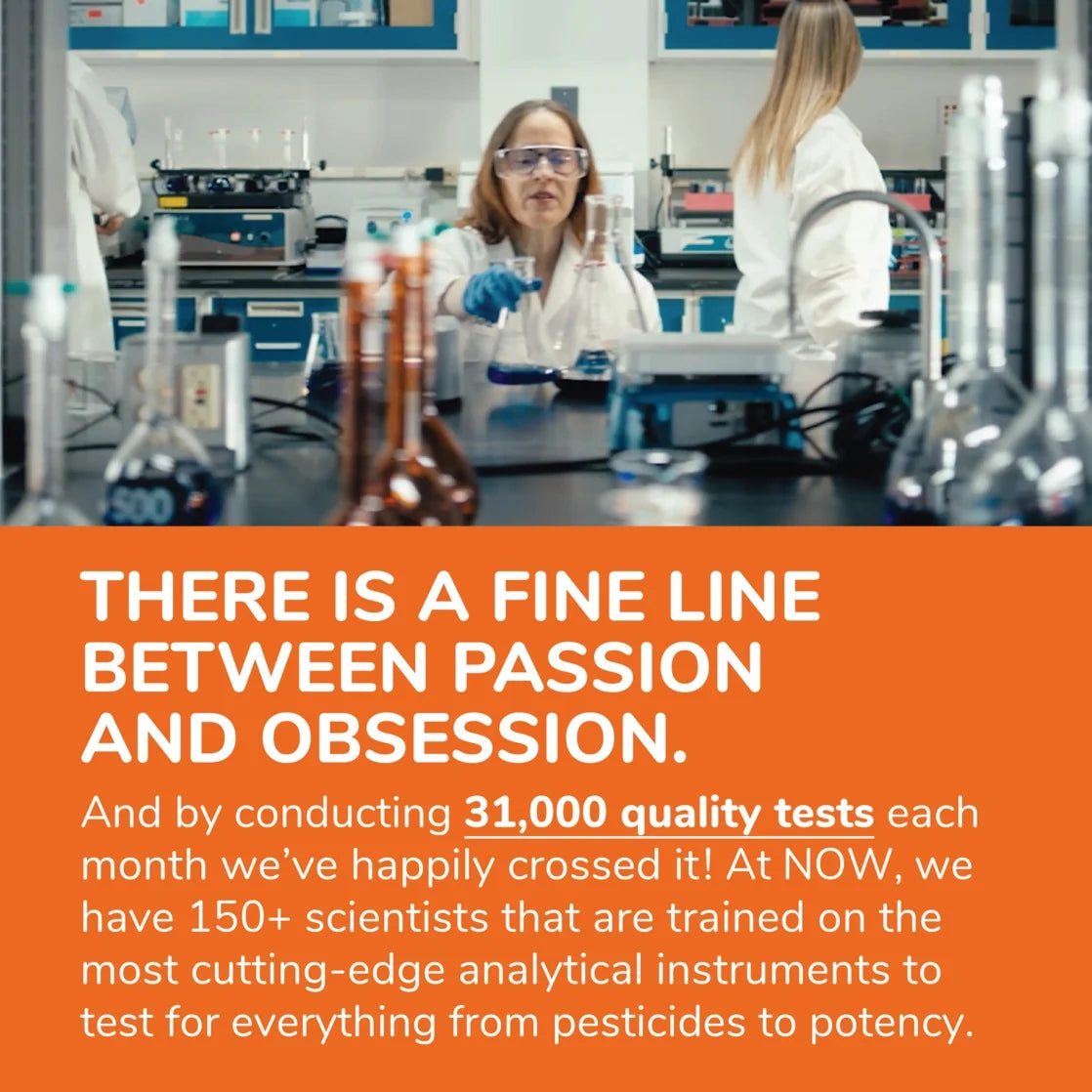 Supplements, Liquid Chlorophyll, Super Concentrated, Internal Deodorizer*, Mint Flavor, 16-Ounce