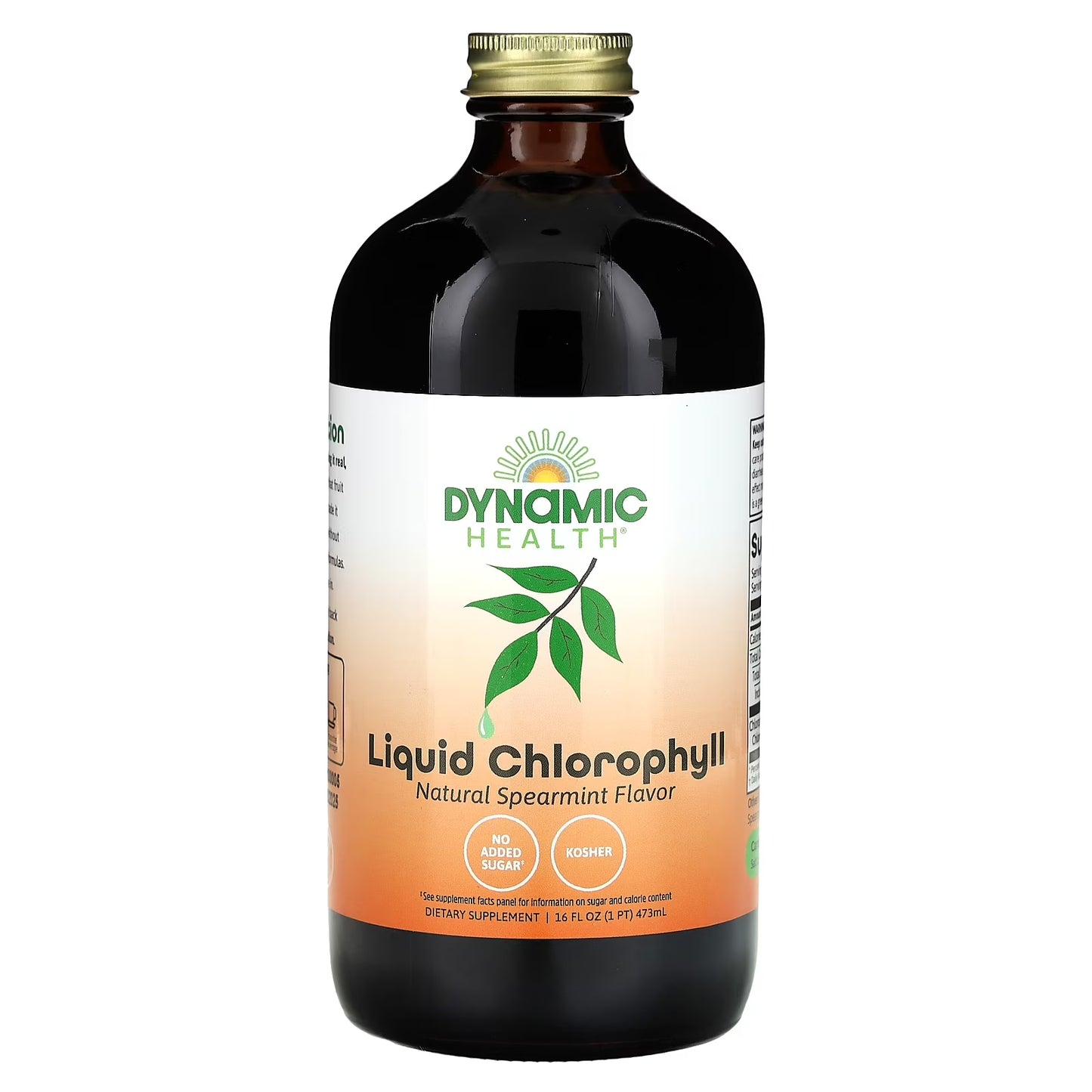 Liquid Chlorophyll - 100 Mg - 16 Fl Oz