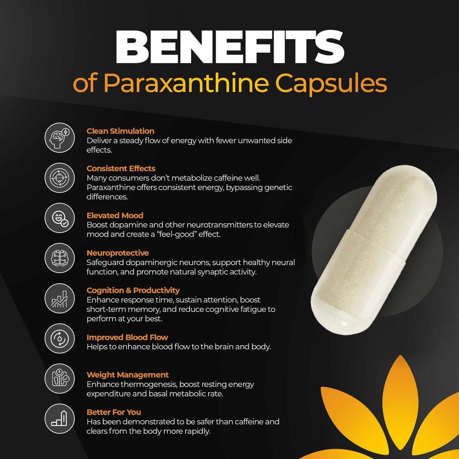 Paraxanthine Capsules for Clean Energy Focus | Caffeine Alternative 200Mg