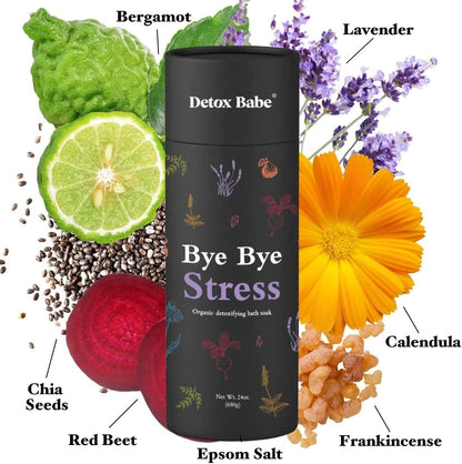 Bye Bye Dry & Bye Bye Stress Detox Bath Salt Soak Bundle Pack | Organic | Epsom Salt | Herbal Essential Oils Soak | Superfood-Fueled | Spa Bath Wellness Health Self-Care Gift (Pack of 2, 24 Oz)