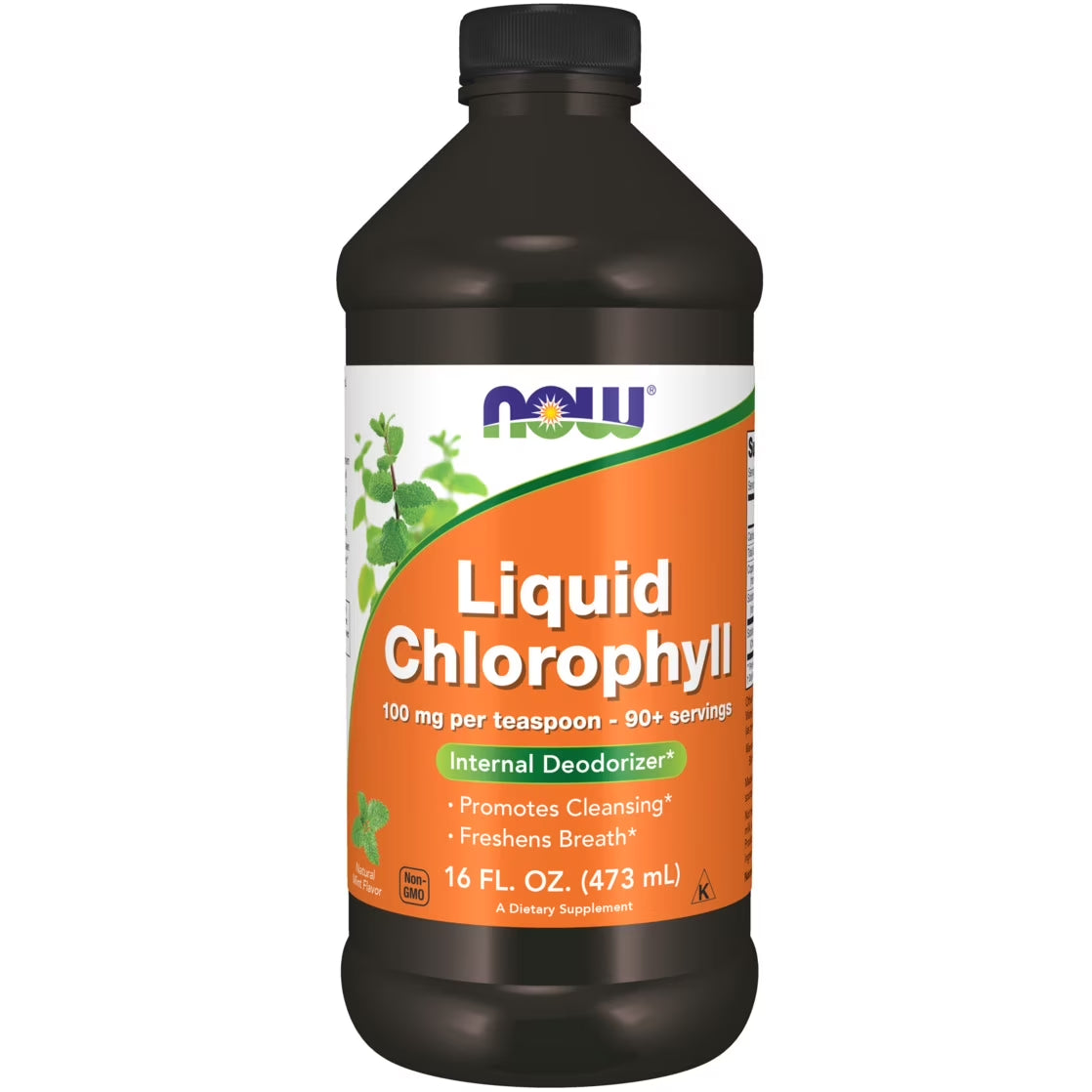 Supplements, Liquid Chlorophyll, Super Concentrated, Internal Deodorizer*, Mint Flavor, 16-Ounce