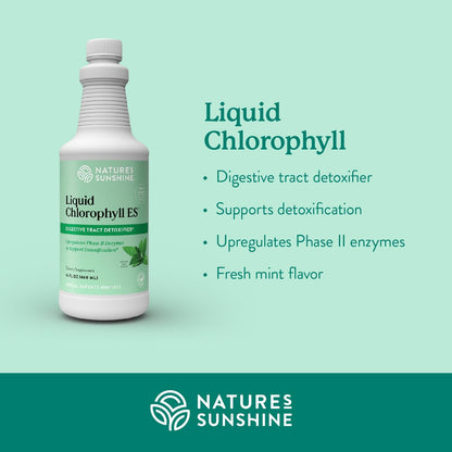 Liquid Chlorophyll Extra Strength - Immunity Support, Detox &