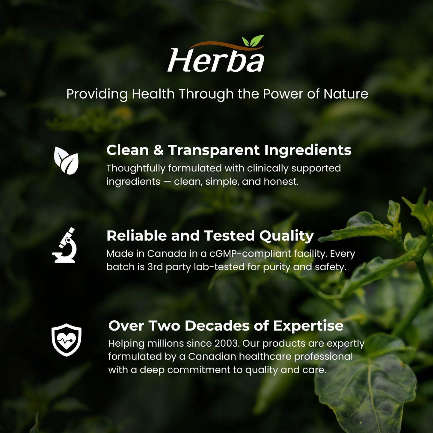 Organic Beet Root Supplement - 180 Capsules | 10,000Mg Equivalent - 20:1 Extract