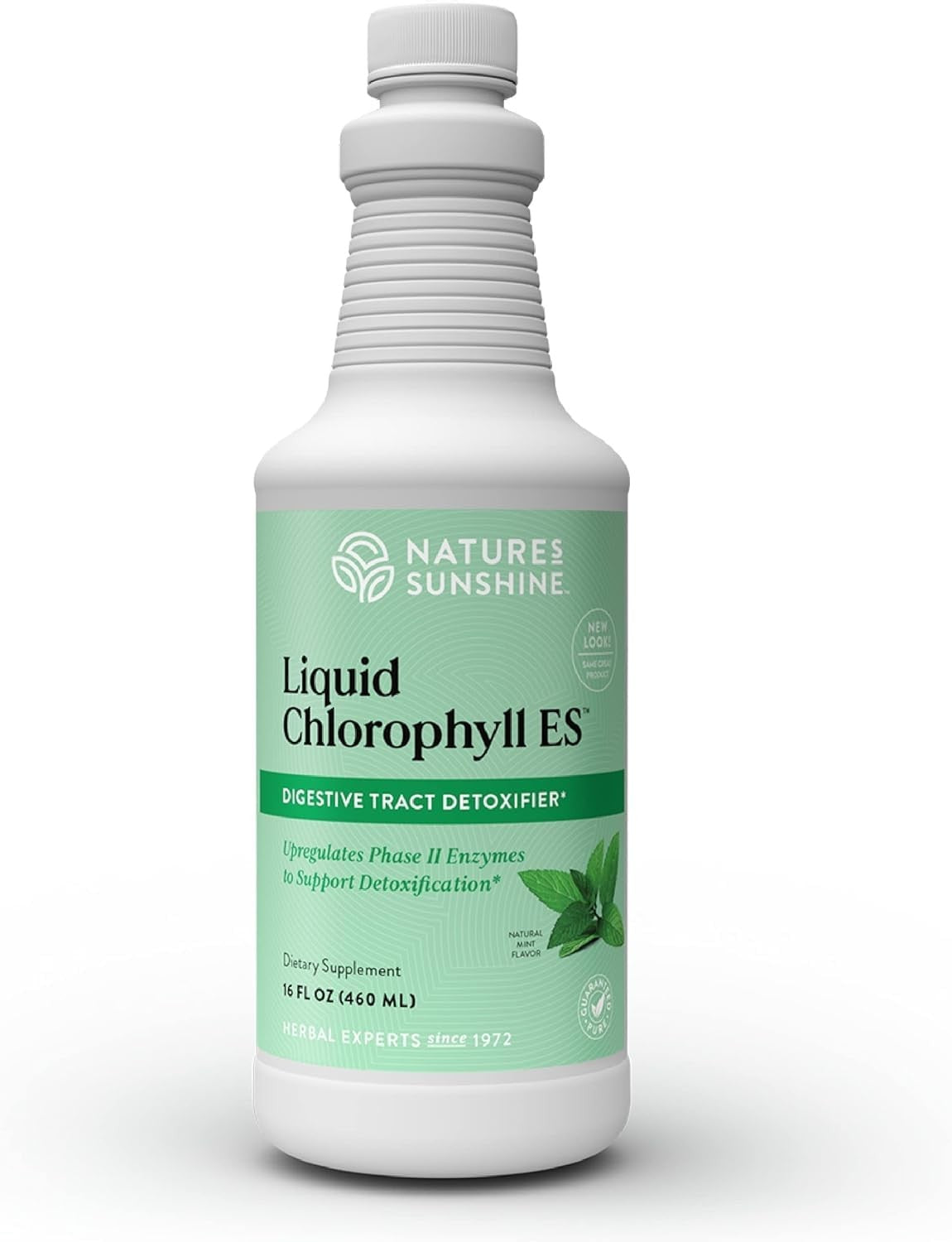 Liquid Chlorophyll Extra Strength - Immunity Support, Detox &