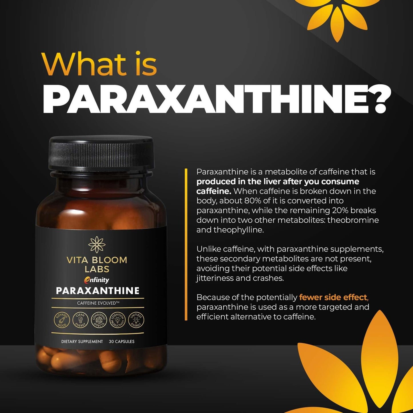 Paraxanthine Capsules for Clean Energy Focus | Caffeine Alternative 200Mg