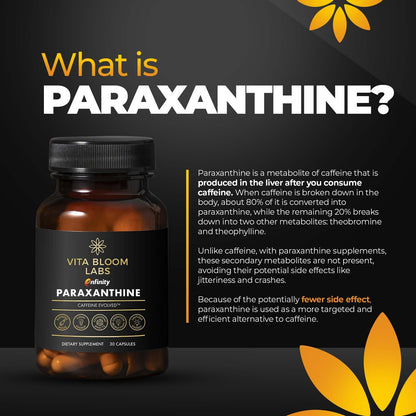 Paraxanthine Capsules for Clean Energy Focus | Caffeine Alternative 200Mg