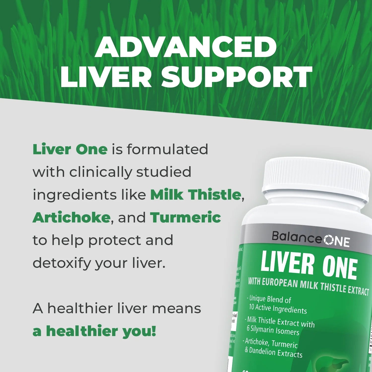 Liver Support with Milk Thistle & Artichoke, 30 Day Supply