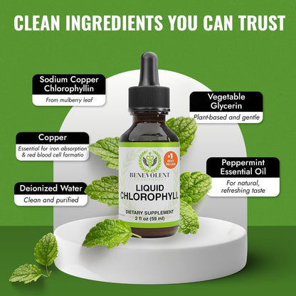 Chlorophyll Supplement, Detox & Immune Support, Internal Deodorizer - Liquid Drops, Natural Mint Flavor, 4 Month Supply, 59Ml