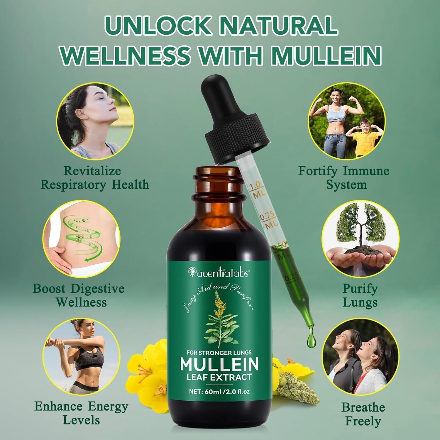 Mullein Drops for Lungs - Mullein Leaf Extract with Chlorophyll for Lung and Res